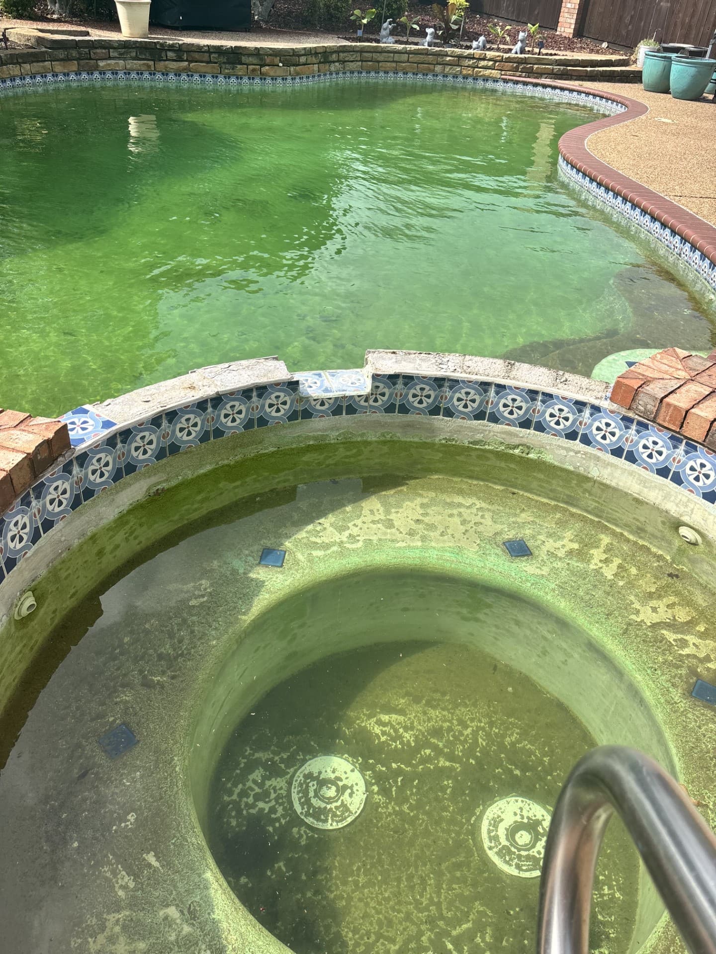Before: Neglected pool with algae and equipment issues