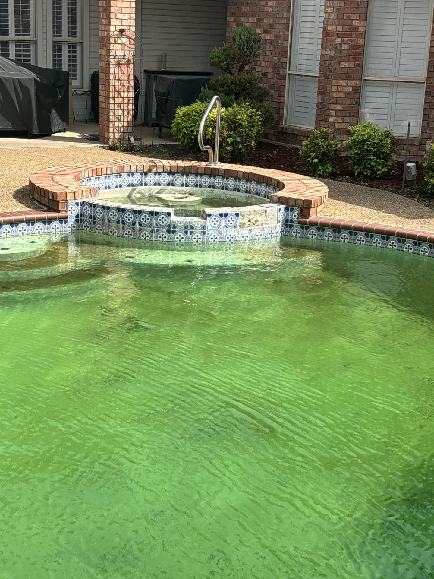 Complete Pool Restoration: From Green to Pristine - Before