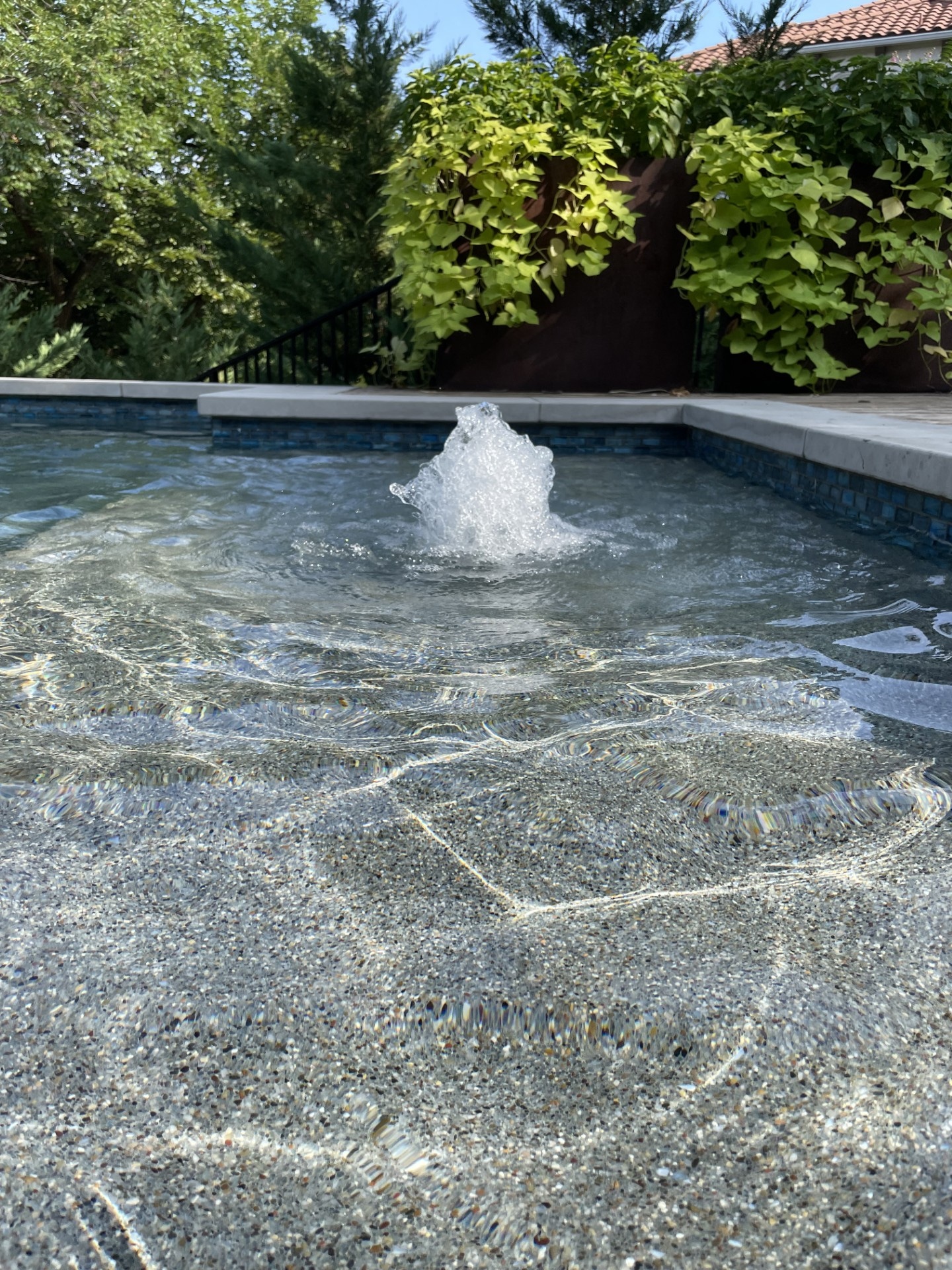Beautiful backyard pool and patio transformation